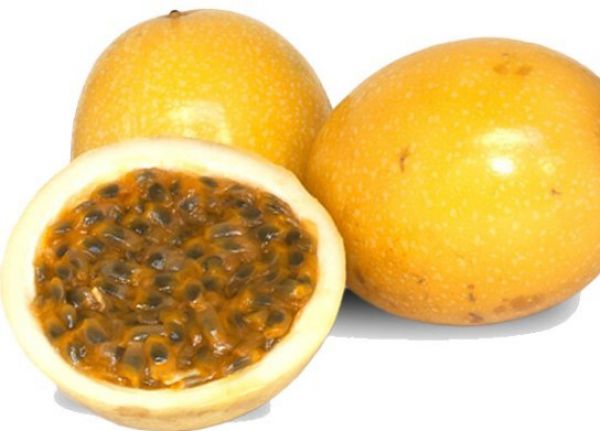 Passion Fruit – Yellow