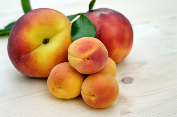 Peach - Fruit
