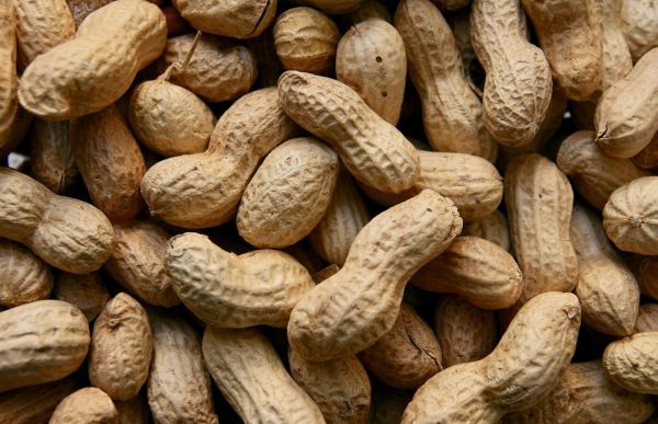 Peanut - with Peel (Cover)