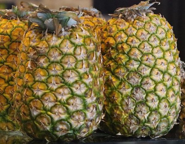 Pineapple - Fruit