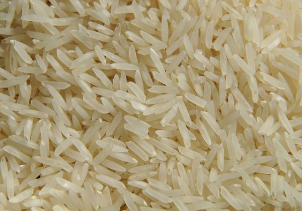 Rice - Grain