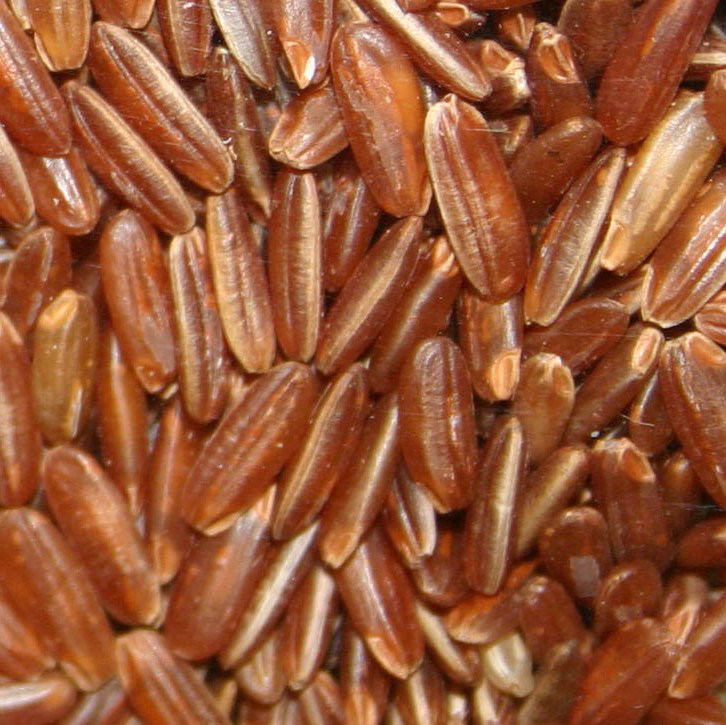 Brown Rice