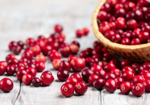 Cranberries – GeeCom India
