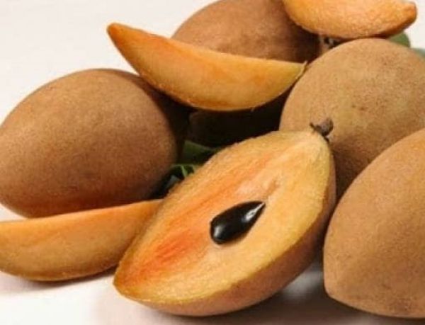 चीकू – फल (Sapota (Cheeku) – Fruit)