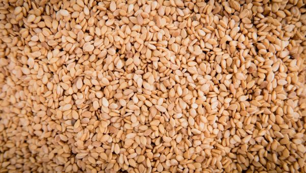 Sesame - Oil Crop / Grain