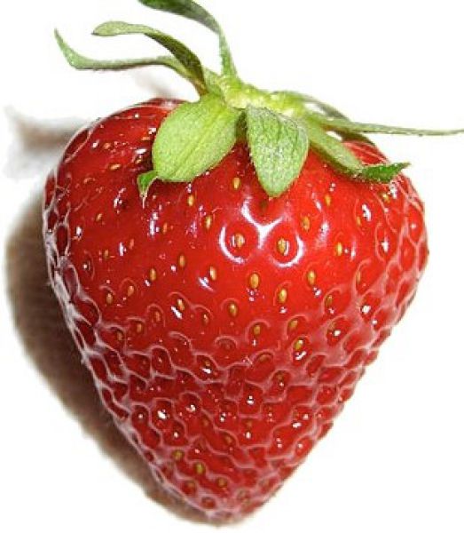 Strawberry – Fruit