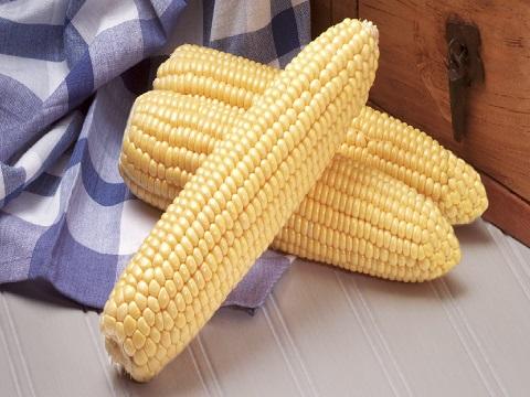 Corn (Bhutta) - Sweet Corn Sugar 75 (Syngenta)