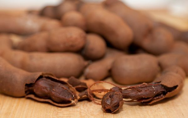 Tamarind