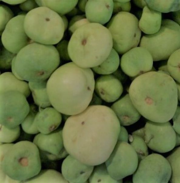 Tinda (Round Gourd)