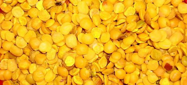 Pulse - Toor / Split Pigeon Pea
