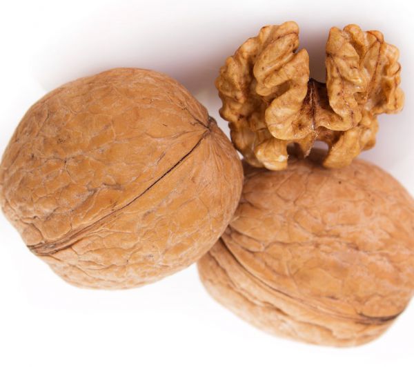 Walnut