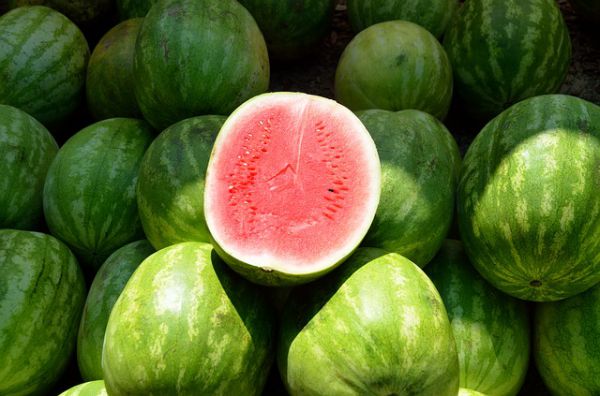 Watermelon - Fruit