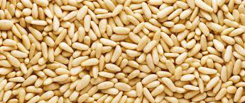 Pine Nuts