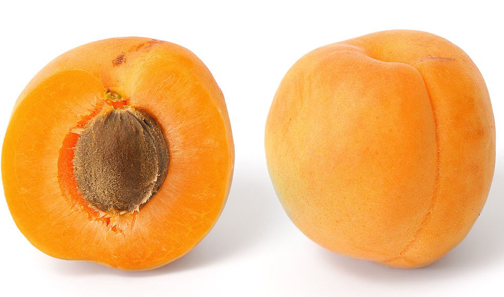 Apricot