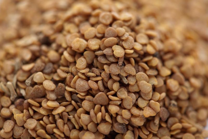 Ashwagandha Seed