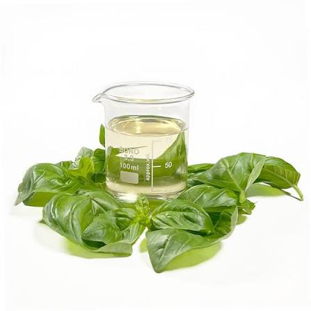Basil Extract