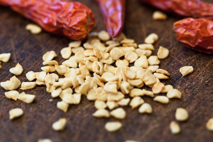 मिर्च के बीज (Chili Seeds)