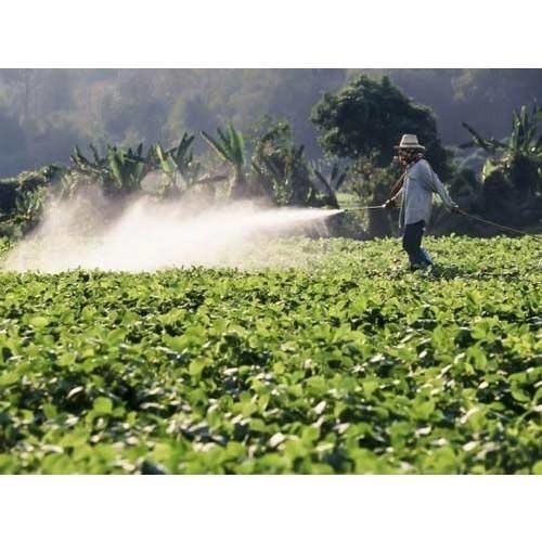 Corazon Insecticide