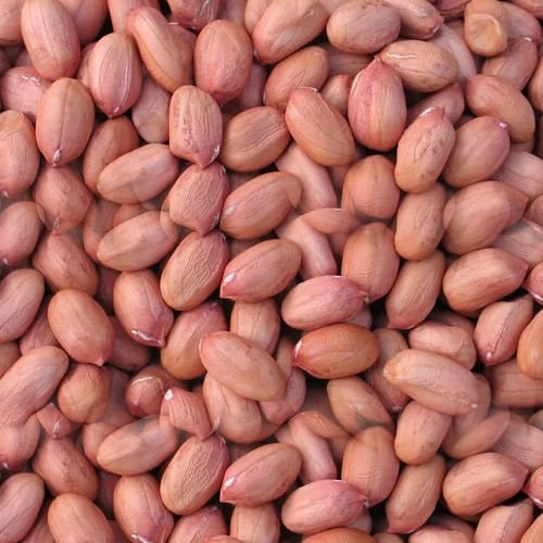 मुंगफली (Groundnut)