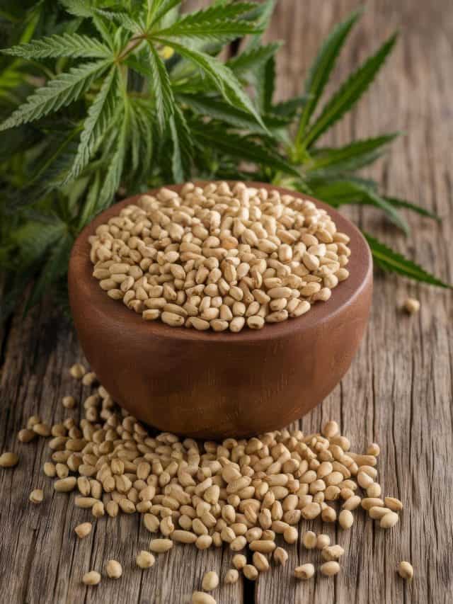 Hemp Seed