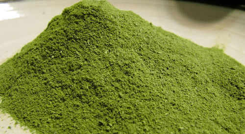 Spinach Powder