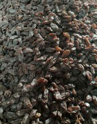 Dry Grapes (Munakka)