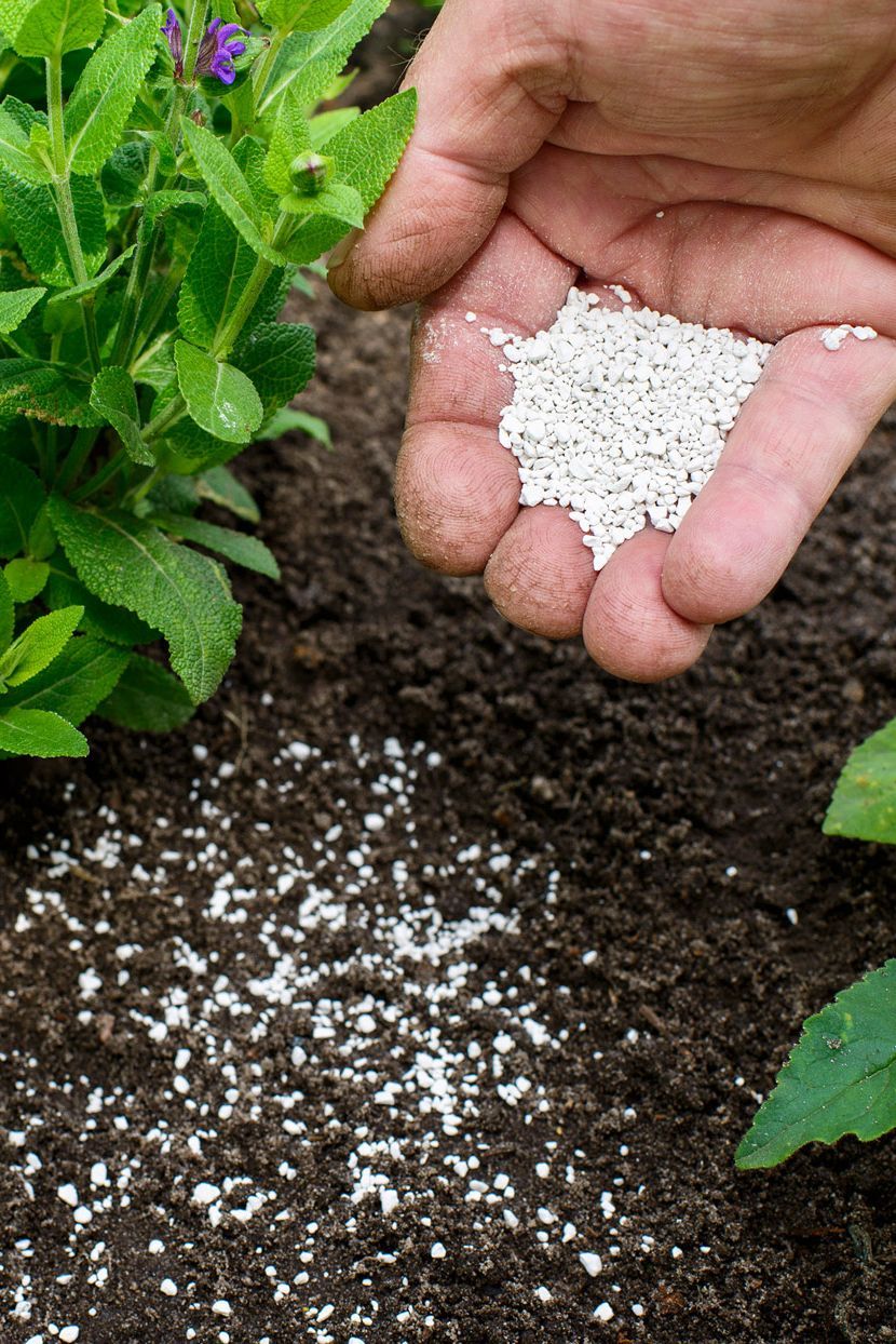 Organic Fertilizer
