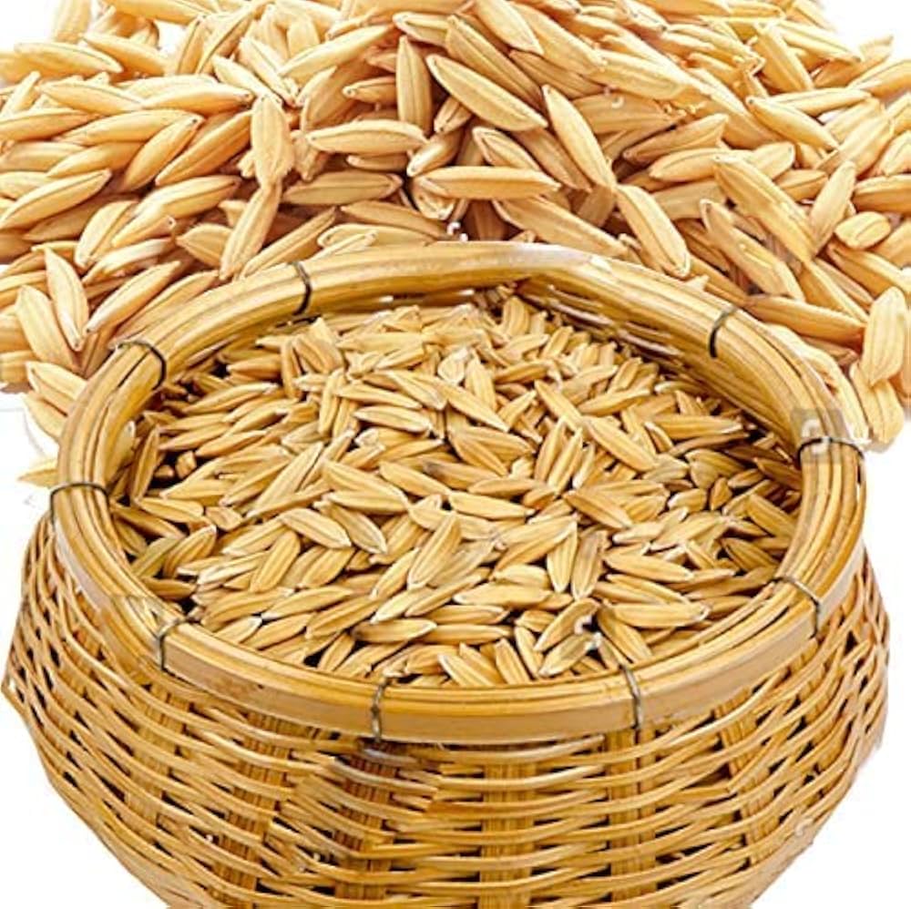 Maize - Makka