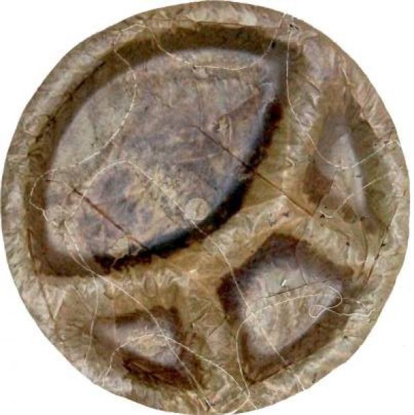Leaf Plate (Pattal)