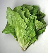 Lettuce