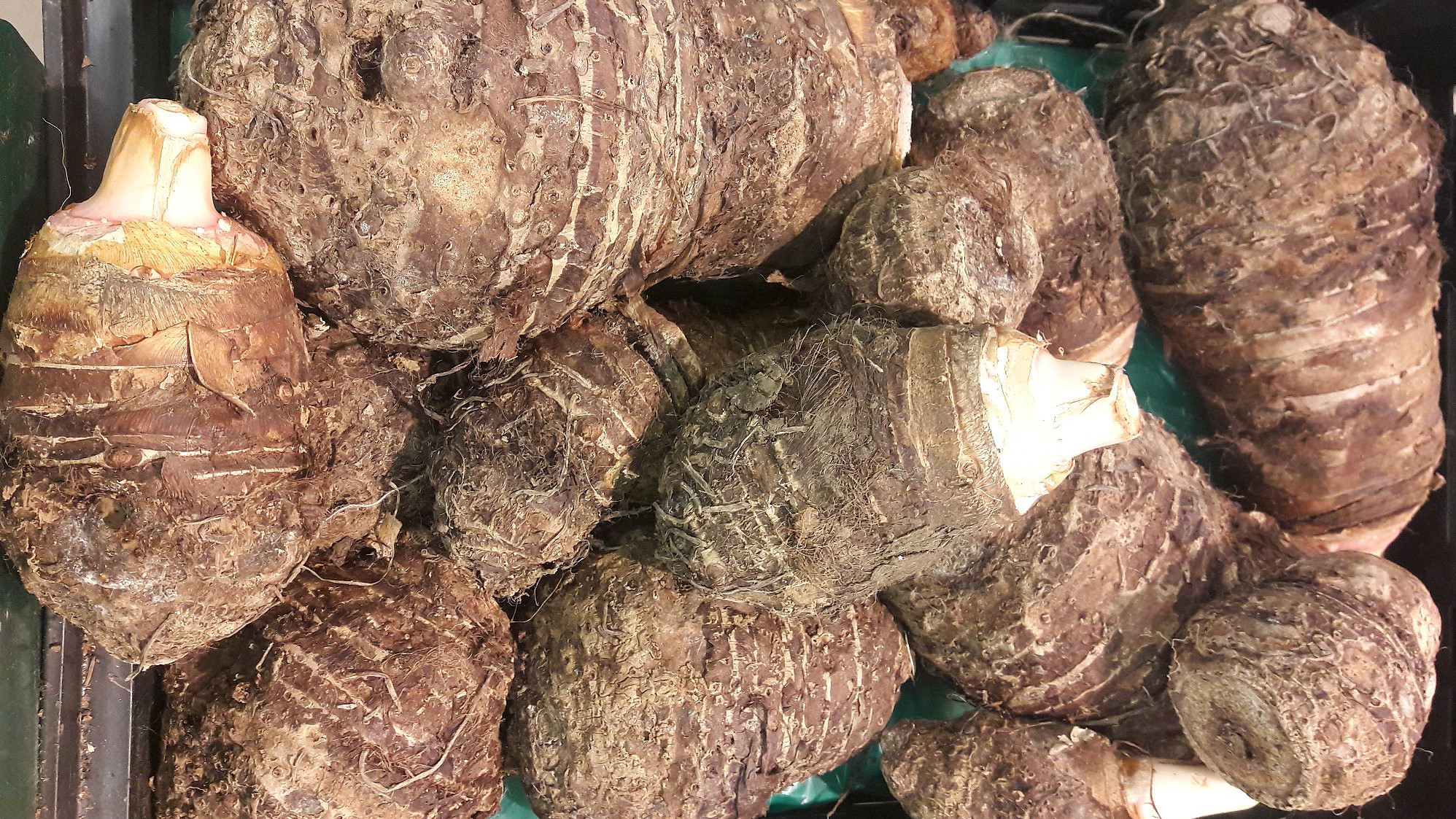 Arbi (Taro Root)