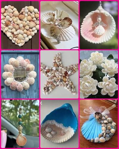 Shell Craft