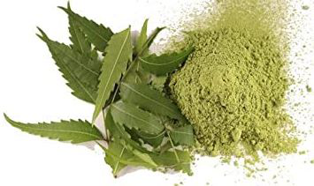 Neem Leaf Powder